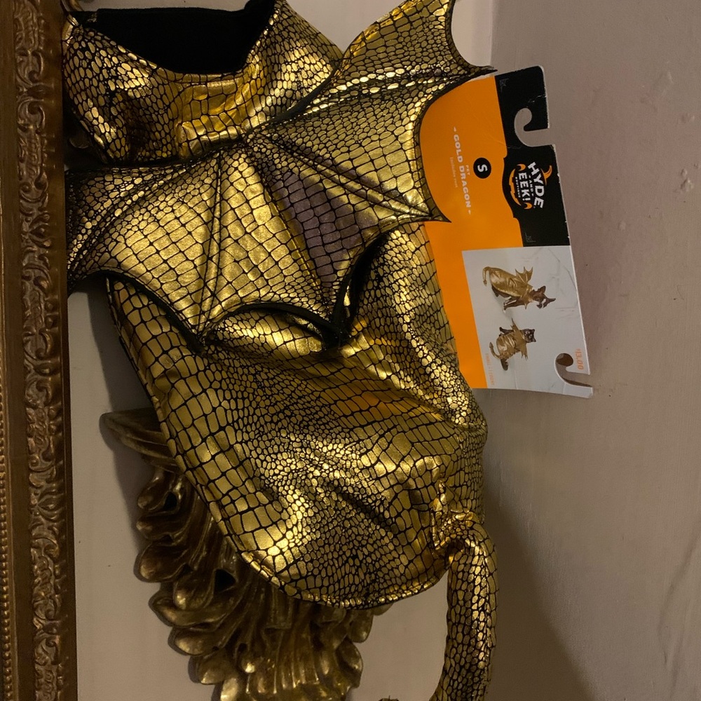 Size S Pet Golden Dragon!